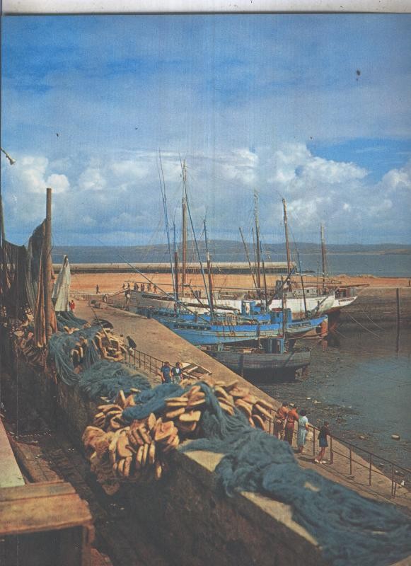 Lamina: La Bretagne: Douarnenez: Les Thoniers