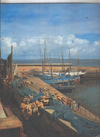 Lamina: La Bretagne: Douarnenez: Les Thoniers