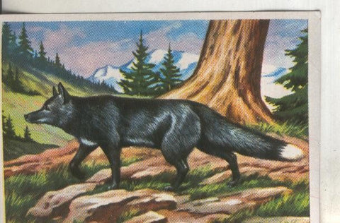 Cromos: Historia Natural numero 190