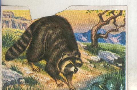 Cromos: Historia Natural numero 191