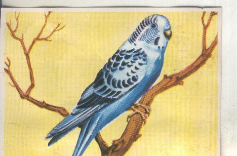 Cromos: Historia Natural numero 208