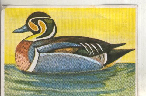 Cromos: Historia Natural numero 210