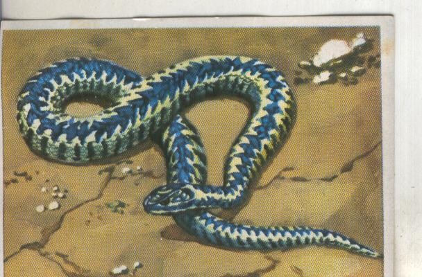Cromos: Historia Natural numero 220