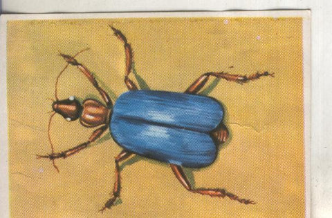Cromos: Historia Natural numero 221