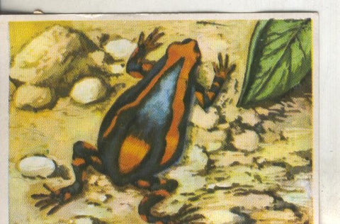 Cromos: Historia Natural numero 229