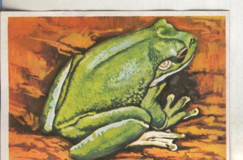 Cromos: Historia Natural numero 233