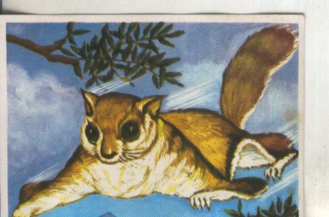 Cromos: Historia Natural numero 246