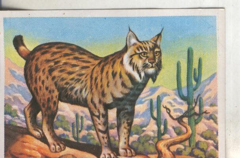 Cromos: Historia Natural numero 250