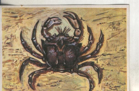 Cromos: Historia Natural numero 261
