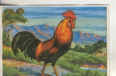 Cromos: Historia Natural numero 263