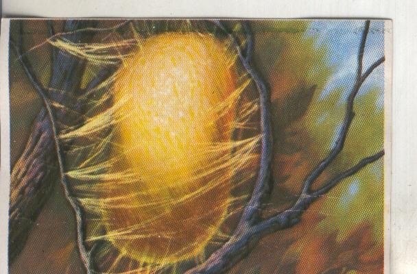 Cromos: Historia Natural numero 268