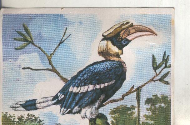 Cromos: Historia Natural numero 285