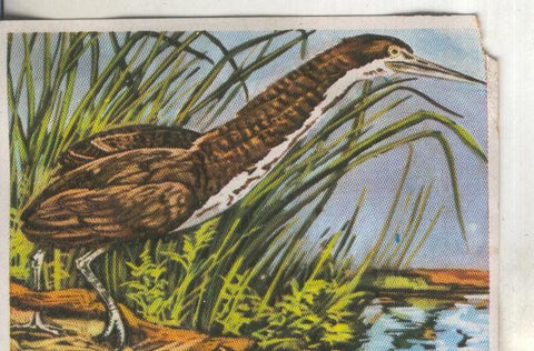 Cromos: Historia Natural numero 286