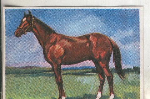 Cromos: Historia Natural numero 289