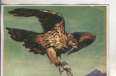 Cromos: Historia Natural numero 294