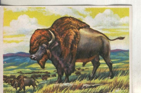 Cromos: Historia Natural numero 297