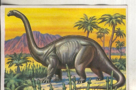 Cromos: Historia Natural numero 302