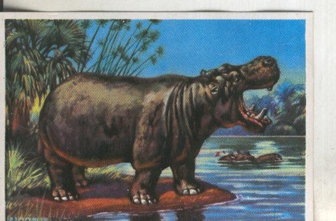 Cromos: Historia Natural numero 305