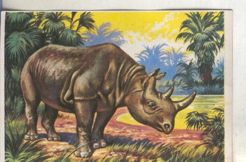 Cromos: Historia Natural numero 306