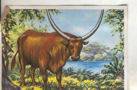 Cromos: Historia Natural numero 309