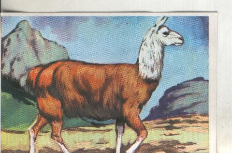 Cromos: Historia Natural numero 317