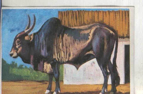 Cromos: Historia Natural numero 318