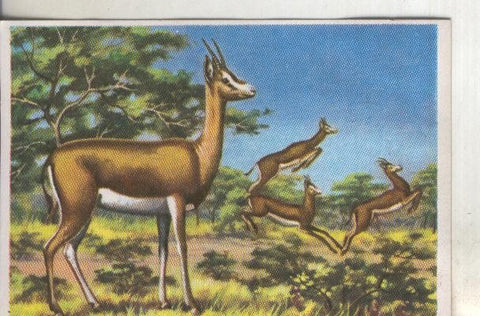 Cromos: Historia Natural numero 326
