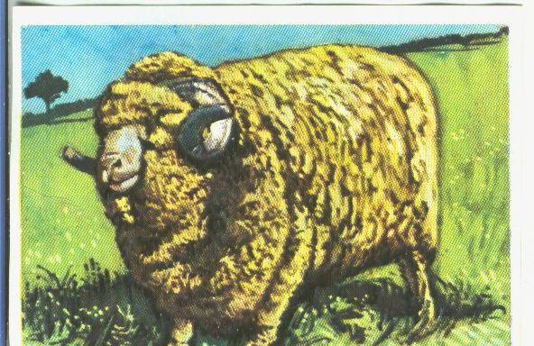 Cromos: Historia Natural numero 346