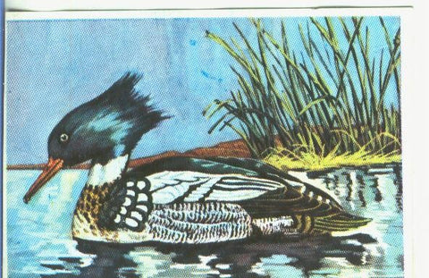 Cromos: Historia Natural numero 351