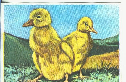 Cromos: Historia Natural numero 353