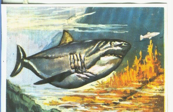 Cromos: Historia Natural numero 368