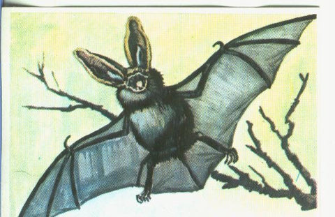 Cromos: Historia Natural numero 369