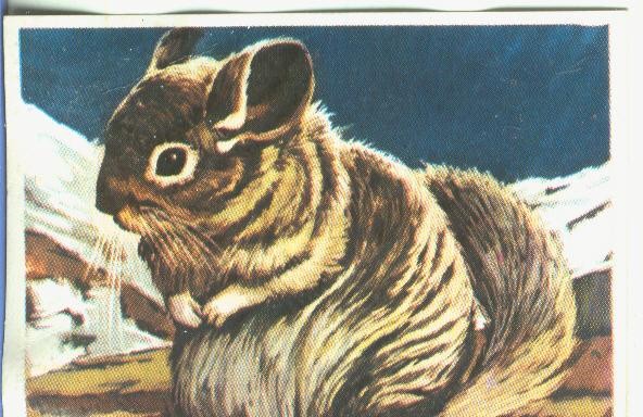 Cromos: Historia Natural numero 371