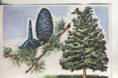 Cromos: Historia Natural numero 391
