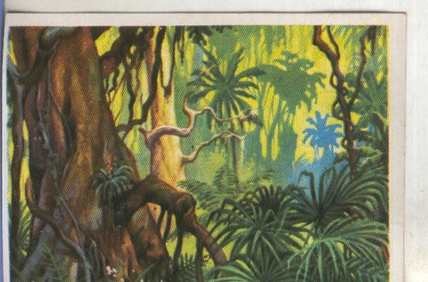 Cromos: Historia Natural numero 400