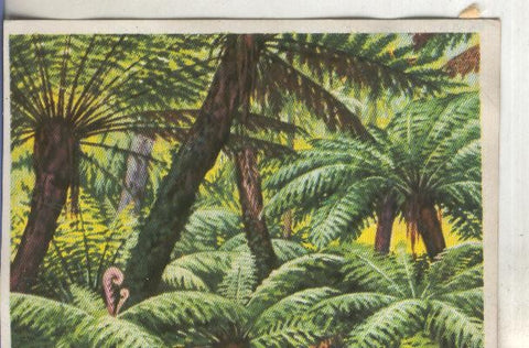 Cromos: Historia Natural numero 402