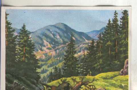 Cromos: Historia Natural numero 409