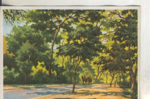 Cromos: Historia Natural numero 410