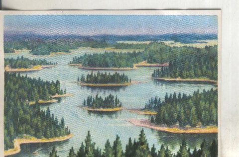 Cromos: Historia Natural numero 411