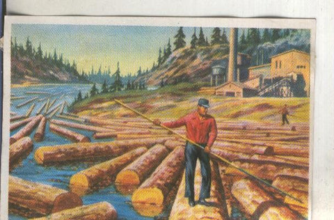 Cromos: Historia Natural numero 414