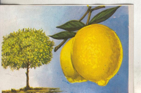 Cromos: Historia Natural numero 416