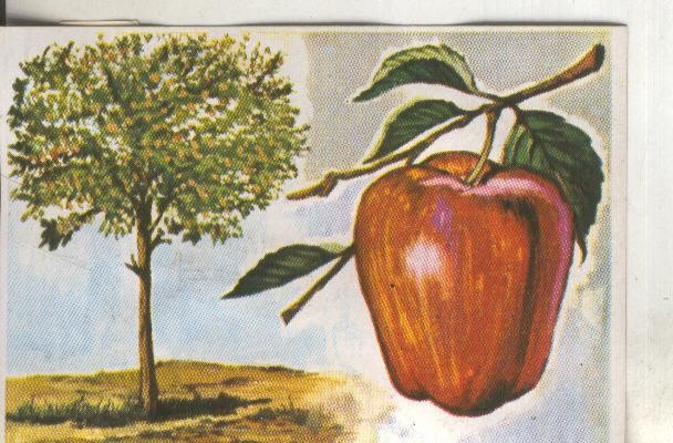 Cromos: Historia Natural numero 418