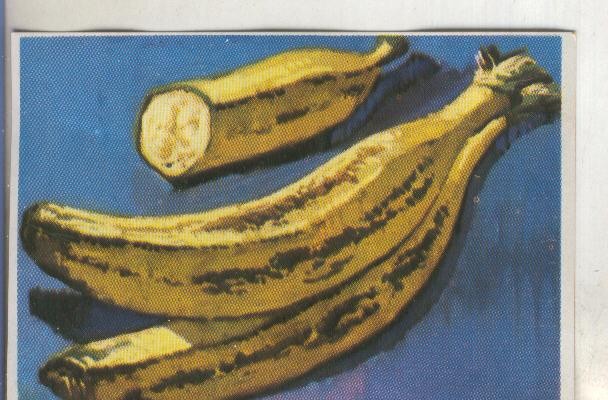 Cromos: Historia Natural numero 420