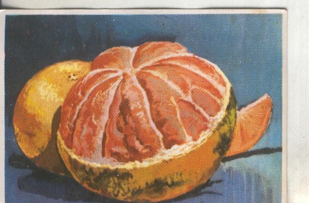Cromos: Historia Natural numero 424
