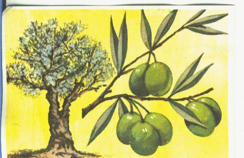 Cromos: Historia Natural numero 427