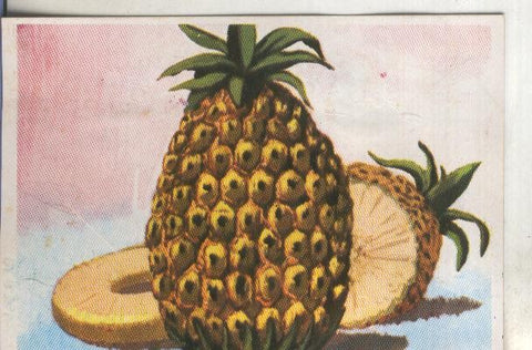 Cromos: Historia Natural numero 429