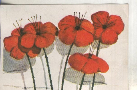 Cromos: Historia Natural numero 440