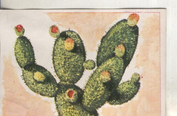 Cromos: Historia Natural numero 444