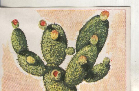 Cromos: Historia Natural numero 444