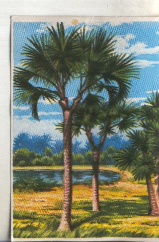 Cromos: Historia Natural numero 452
